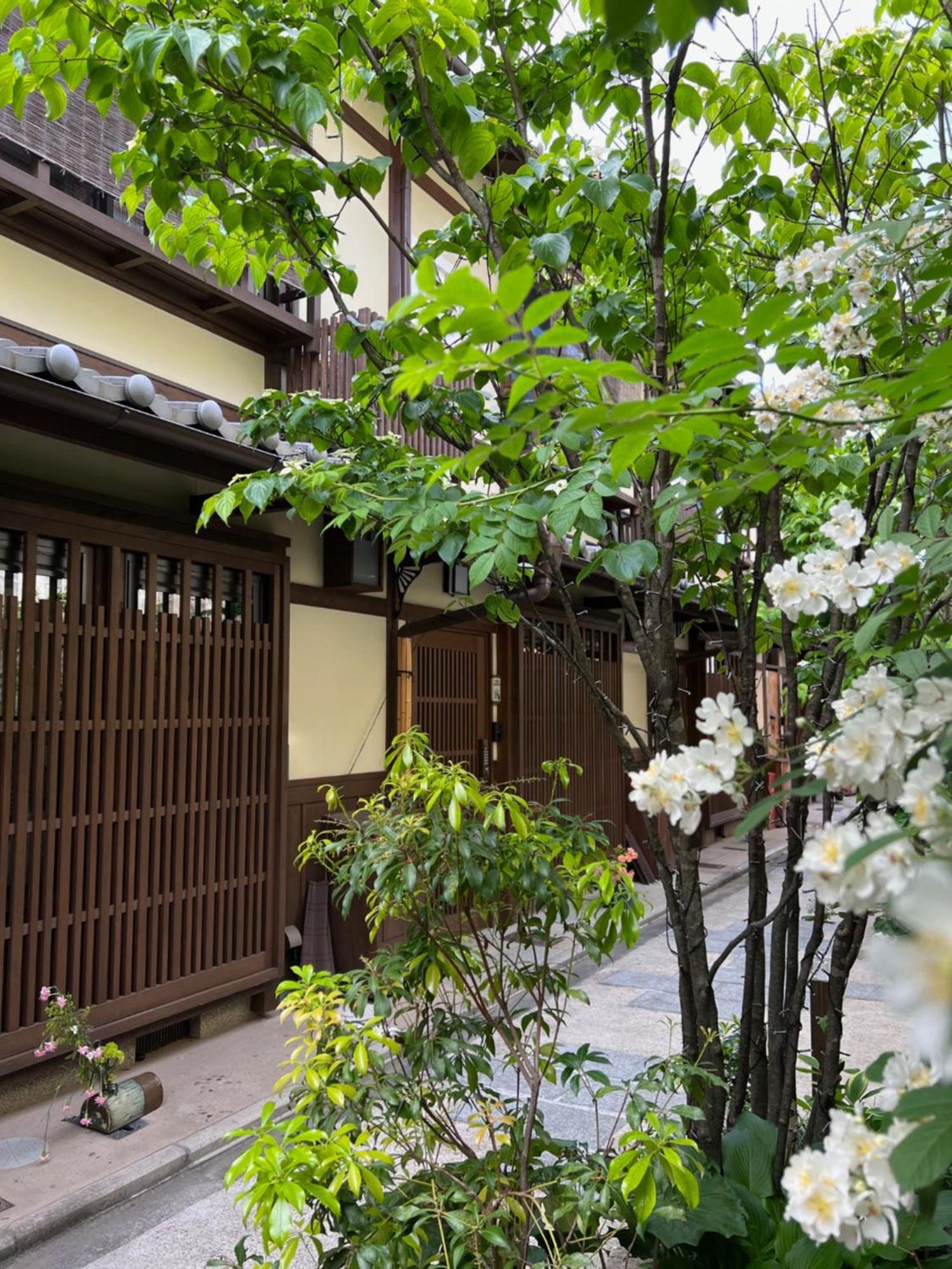 Villa Imakumano Terrace - Dohachi An 道八庵 Kyōto Exterior foto