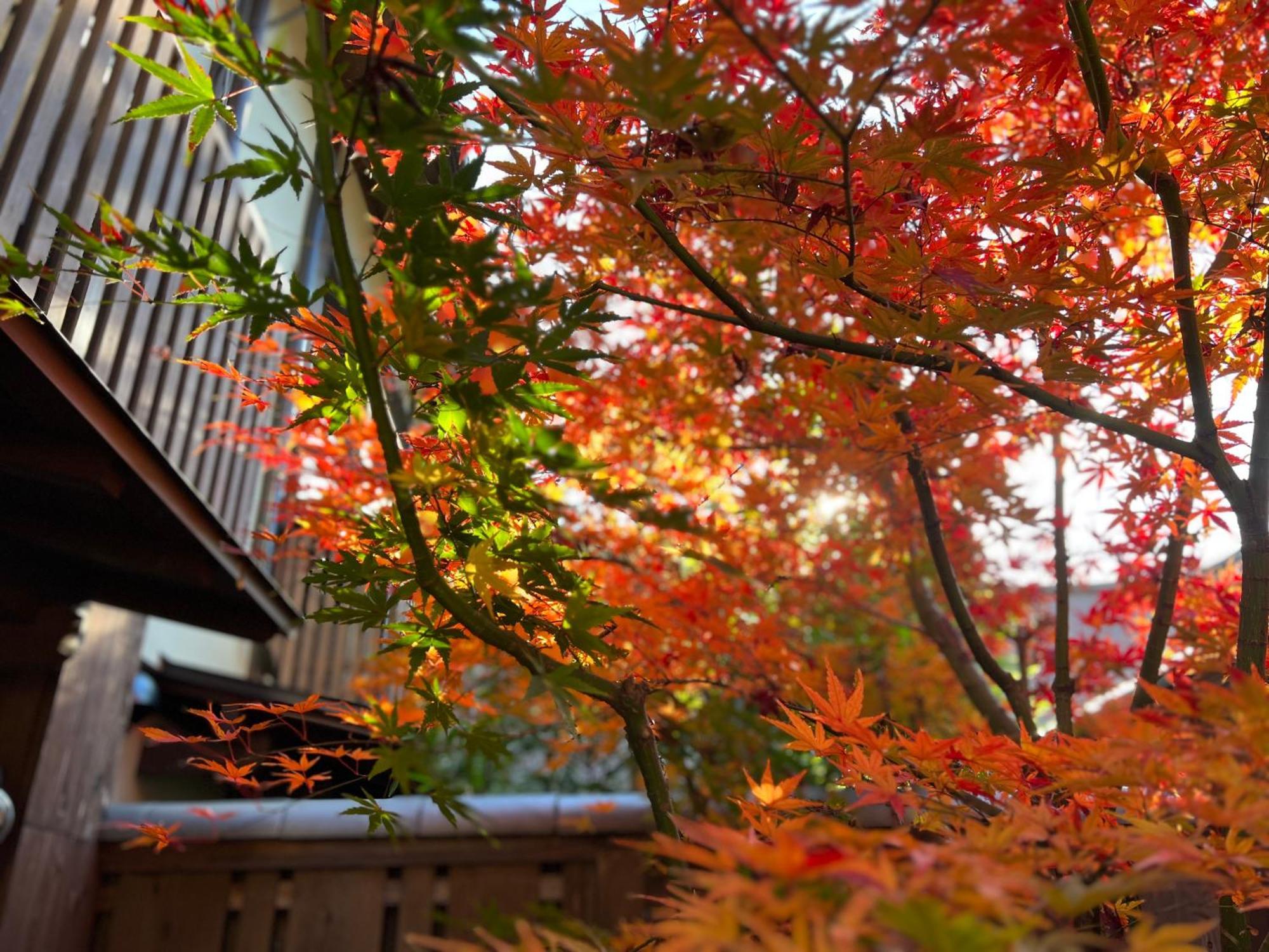 Villa Imakumano Terrace - Dohachi An 道八庵 Kyōto Exterior foto